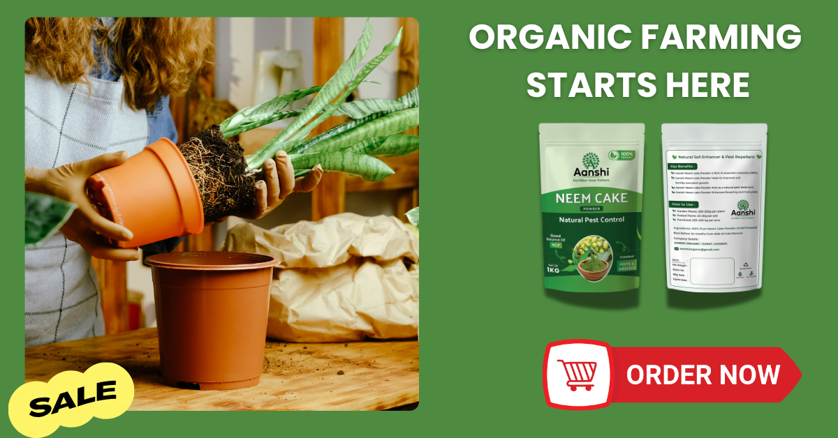 slider image slider_item_QyYnze