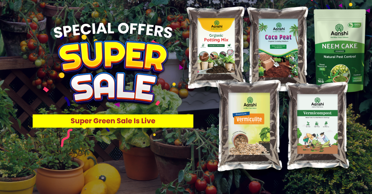 slider image 1621243260e1af0c20-0